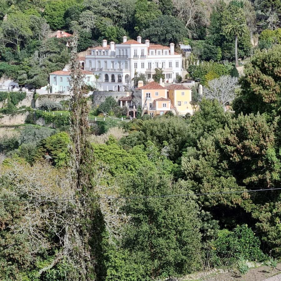 Quinta Da Bella Vista - Historic Home And Farm Sintra Exterior foto